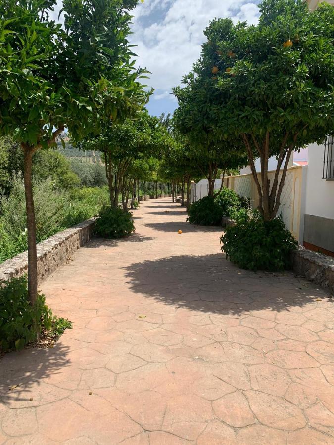 Apartamento En Cuevas Del Becerro エクステリア 写真